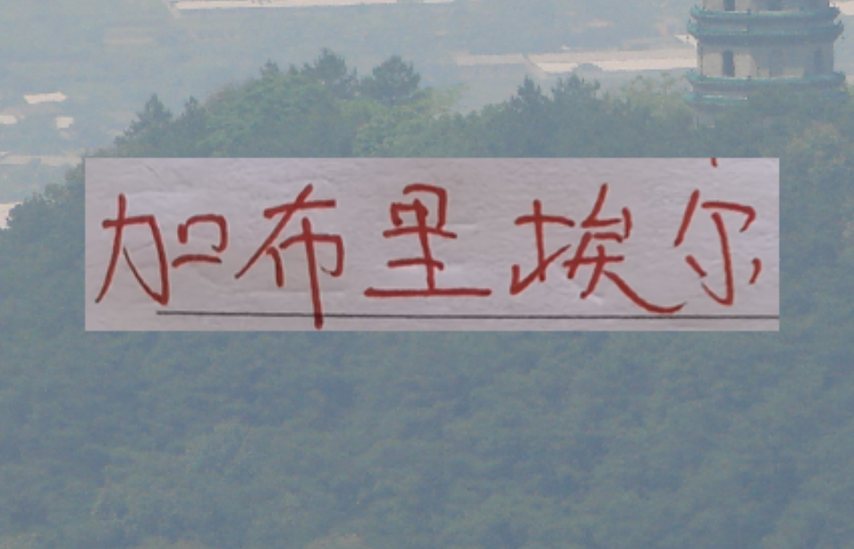 爱游戏体育app-鱼缸里的鱼又回来！海港加布里回来后 今年说实话实力是增强了